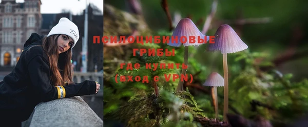 дживик Коряжма