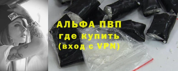гидра Володарск