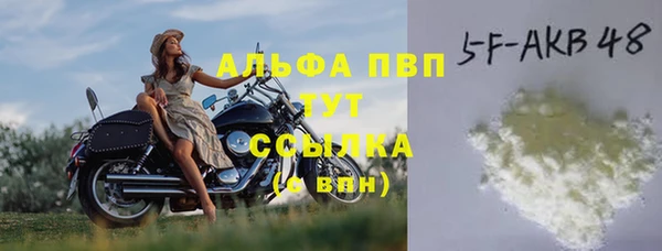 гидра Володарск