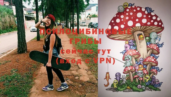 гидра Волоколамск