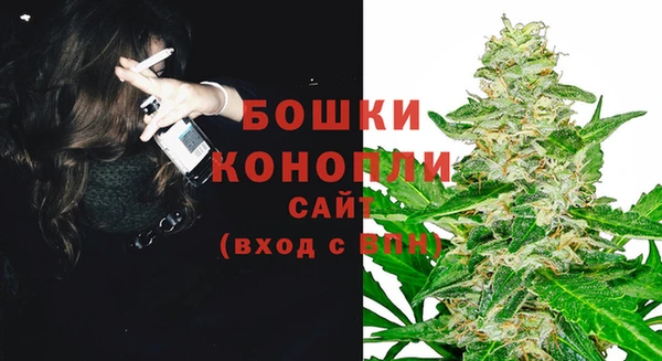 амф Корсаков