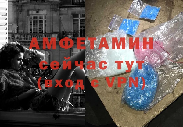 гидра Володарск